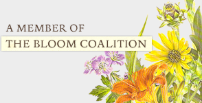 Bloom Coalition Logo